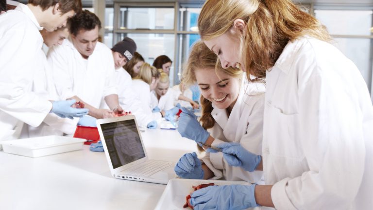 Biokemi Studieretning Ørestad Gymnasium