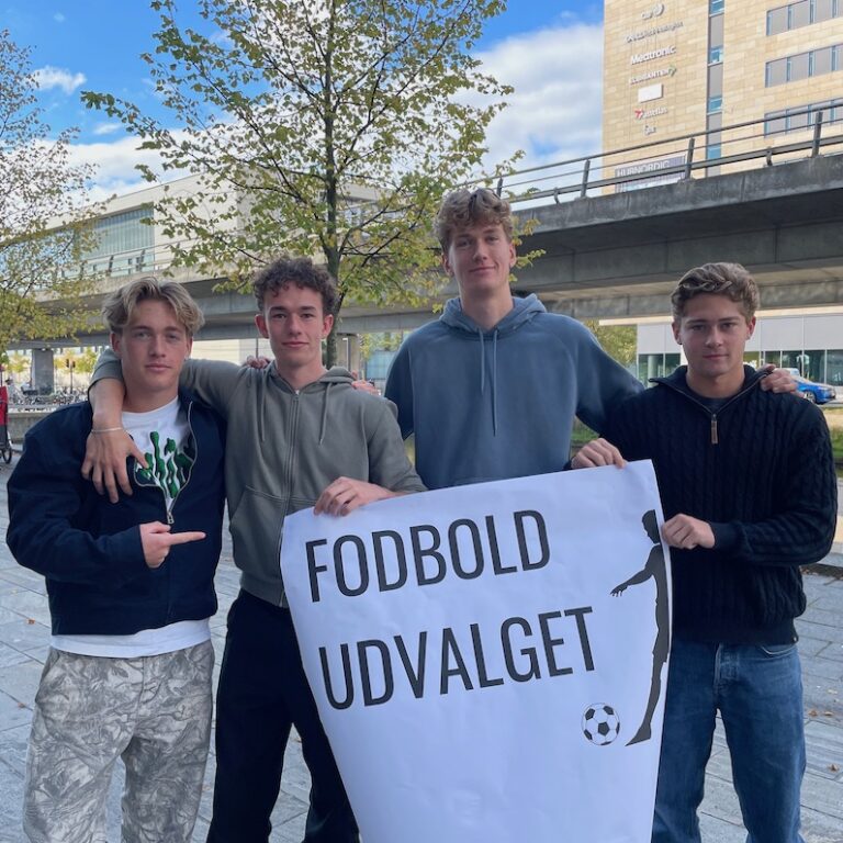 fodboldudvalg