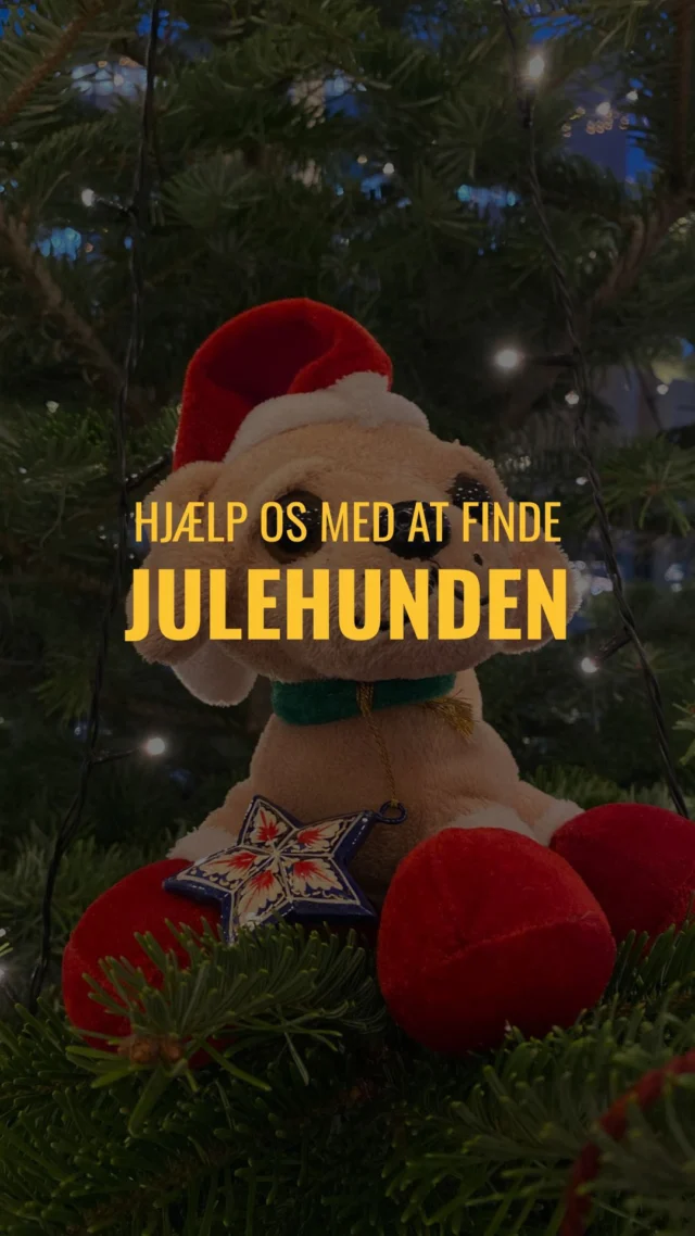 KAN DU FINDE JULLE? 🐶✨  December på OEG betyder én ting: julehunden Julle er på spil!  Hver dag i hele december gemmer Julle sig et nyt sted på skolen – og kun i spisepausen kan du finde den.  🔍 Finder du Julle?
Så aflever hende i administrationen og få din præmie!
Der er biografbilletter og en masse andre lækre julegaver på højkant… 🎁🍿  👀 Pssst… Tjek vores story hver dag inden spisepausen for et lille hint om, hvor Julle gemmer sig.  Held og lykke! ✨🎅🏼